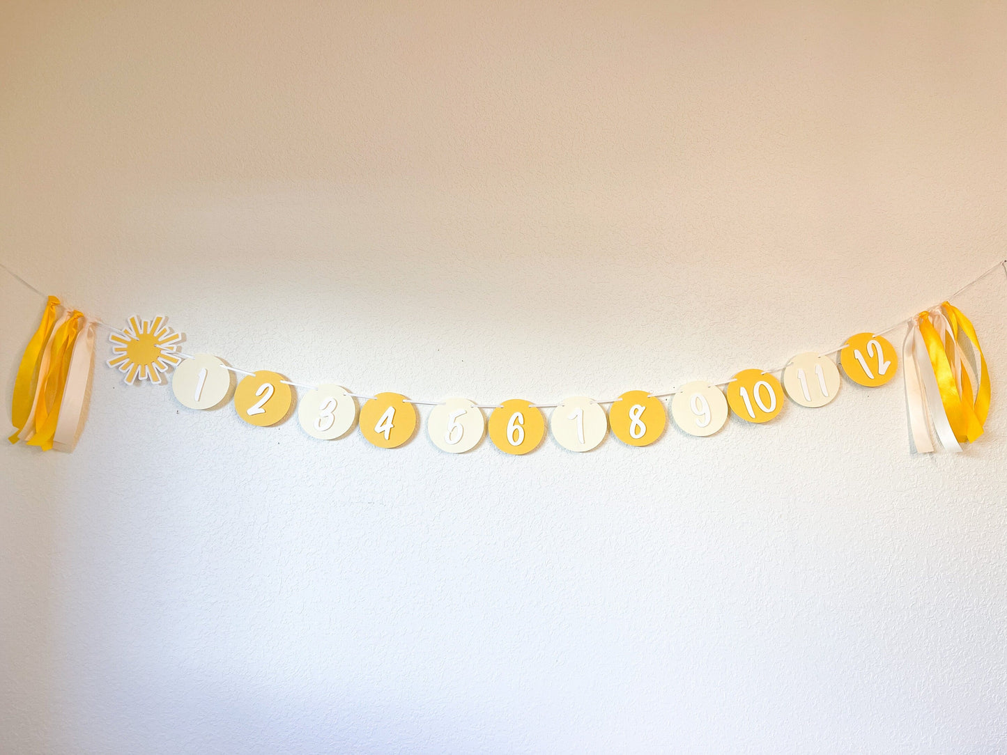 Boho Sunshine Monthly Photo Banner – First Trip Around the Sun Theme