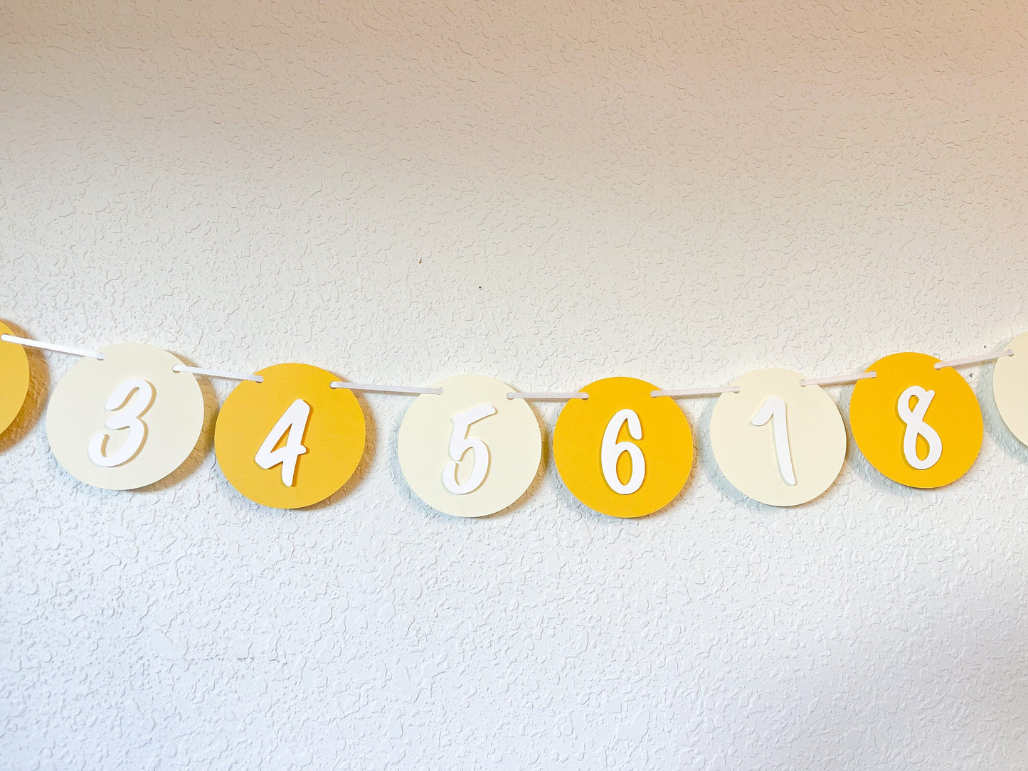 Boho Sunshine Monthly Photo Banner – First Trip Around the Sun Theme