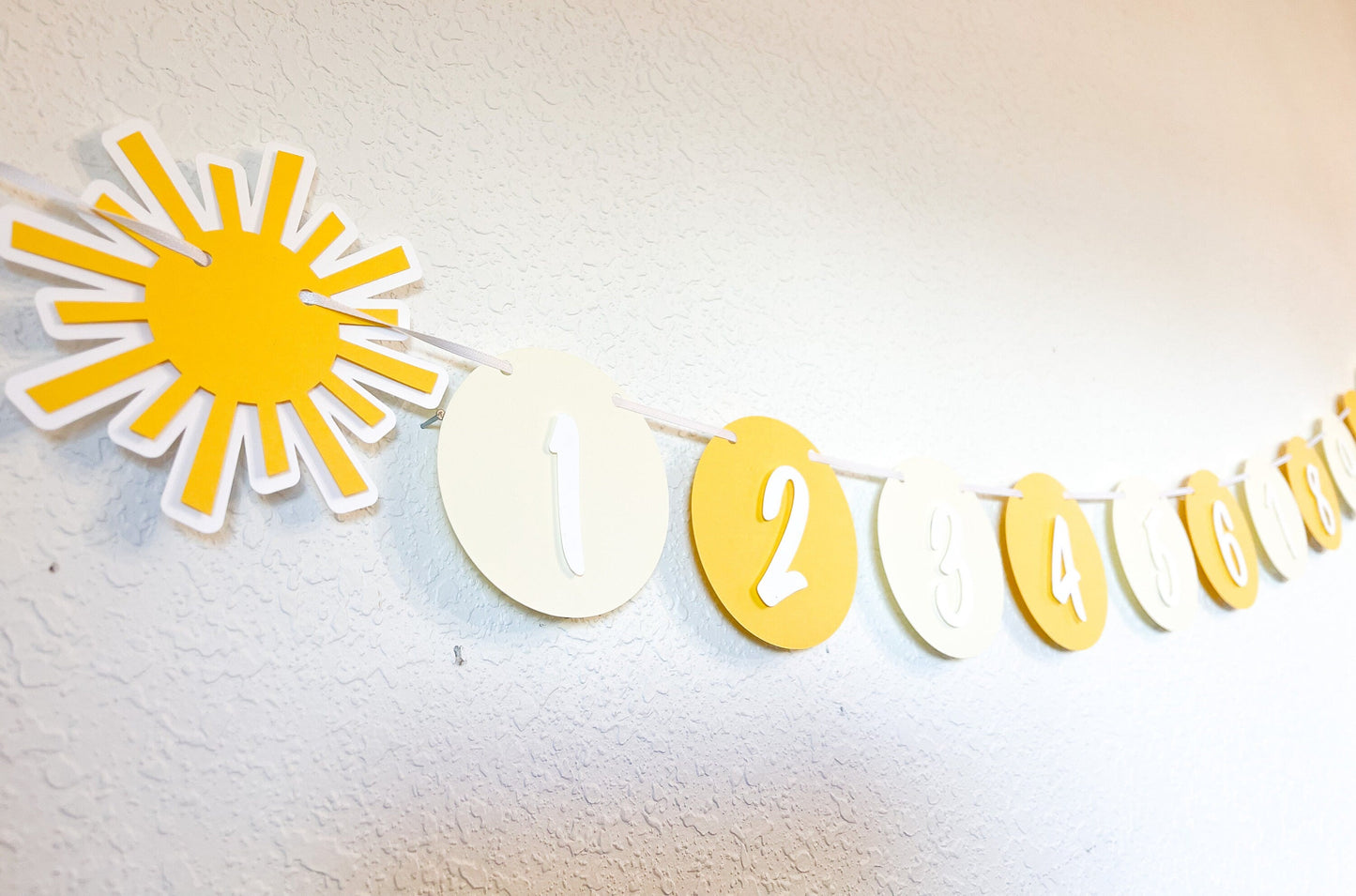 Boho Sunshine Monthly Photo Banner – First Trip Around the Sun Theme