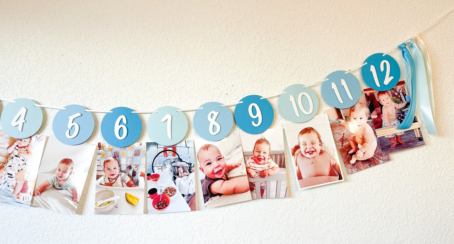 You Are My Sunshine Milestone Banner – Blue 12 Month Photo Display