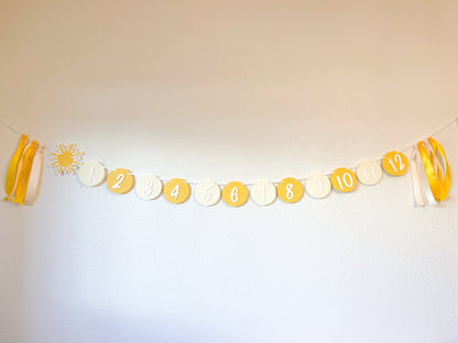 Boho Sunshine Monthly Photo Banner – First Trip Around the Sun Theme