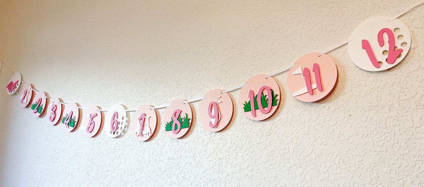 Girl Golf Bundle - Pink Hole In One Party Bundle - Golf 1st Birthday