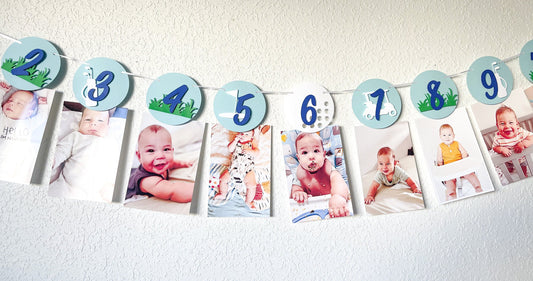 Golf Monthly Milestone Banner – Hole-in-One First Birthday Decor